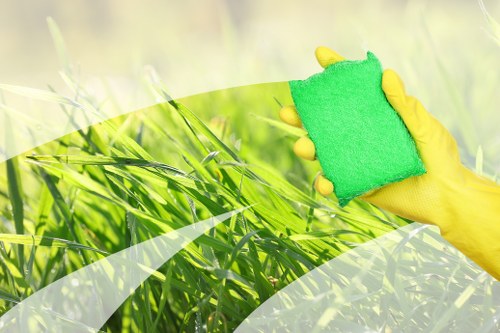 Professional carpet cleaning in TW8 with careful fabric care