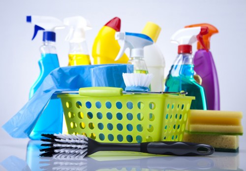 Professional carpet cleaning in a TW8 home interior