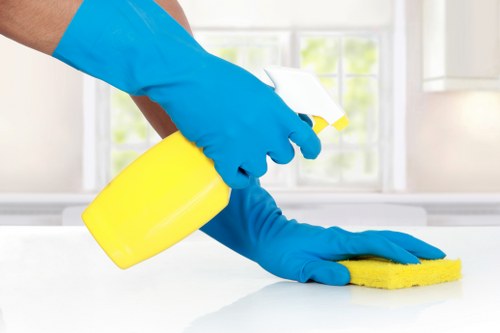 Preparation checklist and cleaning tools for a TW8 property handover