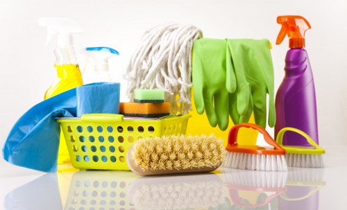 Pet stain and odour cleaning service for carpets in TW8