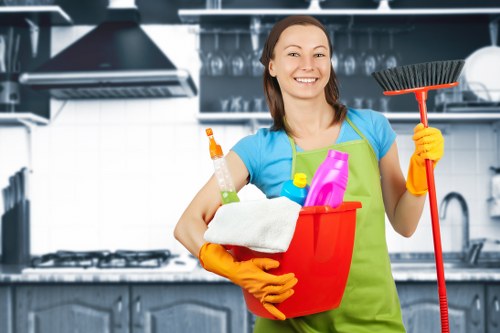 Deep carpet extraction service for a flat or apartment in Brentford TW8