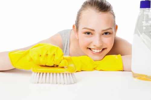Local pet stain odour removal service for homes and businesses in TW8