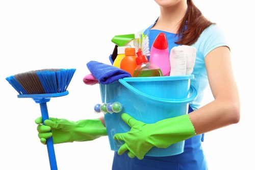 Sofa and armchair upholstery cleaning for a TW8 home