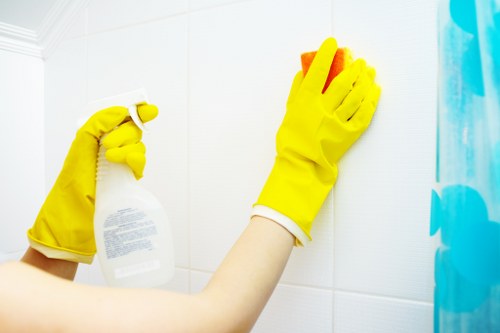 Gutter cleaning and roofline maintenance for TW8 properties