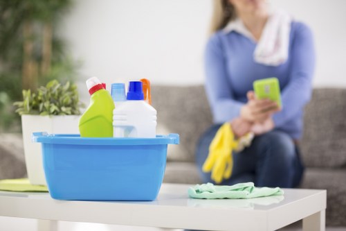 Professional carpet cleaning with extraction machine in a home