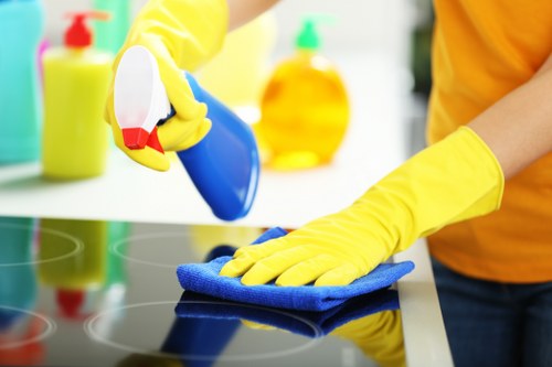 Local window cleaning for homes and businesses in TW8