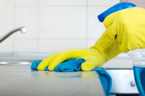 Browser cookie preferences related to carpet cleaners in TW8