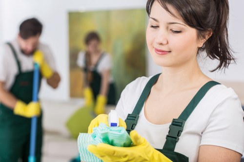 High-quality carpet care and cleaning results in TW8