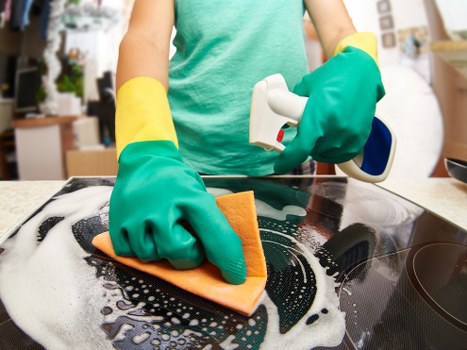 Local cleaners working in a riverside apartment in TW8