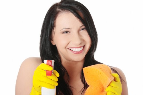 Regular window cleaning service for TW8 flats, houses, and shops