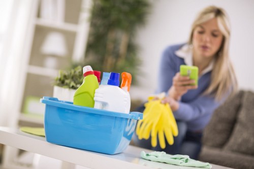Local specialist treating pet urine marks in a TW8 home